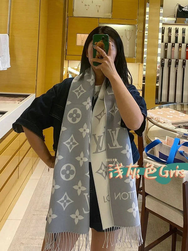 Louis Vuitton Scarf LVC00495